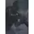 Call Of Duty Ghost Steelbook Edition