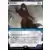 Assassin\'s Creed - Evie Frye foil