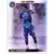 Foot 2009 - Saison 2008-2009 - Cédric Carrasso - Top Joueur - Toulouse FC