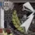Band-Maid - 10th Anniversary Best Vol.1