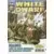 White Dwarf - White Dwarf N°81