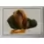 The Dog - Artlist Collection - 2006 - Image 23