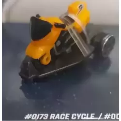 Race cycle