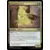Horizons du Modern III (3) - Limon en expansion