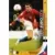 Aleksandr Kerzhakov - Russia - Forwards