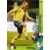 Fredrik Ljungberg - Sverige - Midfielders