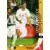 Panini UEFA Euro Austria-Switzerland 2008 - Radoslaw Matusiak - Poland - Forwards