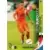 Panini UEFA Euro Austria-Switzerland 2008 - Wesley Sneijder - Nederland - Midfielders
