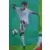 Euzebiusz Smolarek - Poland - Ultra cards