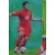 Hamit Altintop - Turkiye - Ultra cards