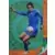Panini UEFA Euro Austria-Switzerland 2008 - Luca Toni - Italia - Ultra cards