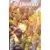 DC Universe (Panini Comics) - Terre-2