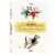 La Dynastie Donald Duck - La Dynastie Donald Duck - Coffret 1950/1952