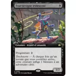 Fouettevigne iridescent