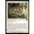 Horizons du Modern III (3) - Bande d\'ocelots