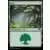 Forêt