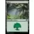 Forêt