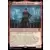 Ral, mage de la mousson