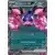Pecharunt EX