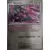 Fable Nébuleuse - SFAFR - Genesect Reverse