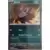 [COPY] Zorua Reverse