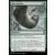 Bloomburrow Commander Decks - Ailes brisées