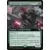 Apothicaire souchesang