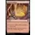 Bloomburrow Commander Decks - Caverne oubliée