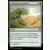Bloomburrow Commander Decks - Croissance luxuriante