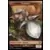 Bloomburrow Commander Decks - Hamster
