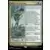 Bloomburrow Commander Decks - Talent du pêcheur