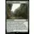 Dominaria Remastered - Bibliothèque sylvestre