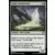 Guide spirituel elfe