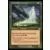 Guide spirituel elfe