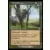 Dominaria Remastered - Nid d\'écureuils