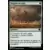 Dominaria Remastered - Tempête de sable