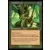 Dominaria Remastered - Végétation luxuriante