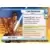 Star Wars Unlimited Cartes Promotionnelles - Luke Skywalker Promo Prerelease