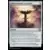 Horizons du Modern III (3) - Commander Decks - Calice toujours ruisselant