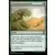 Horizons du Modern III (3) - Commander Decks - Croissance luxuriante