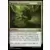 Horizons du Modern III (3) - Commander Decks - Horrible récupération