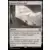 Horizons du Modern III (3) - Commander Decks - Ruines d\'Oran-Rief