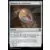 Talisman de conviction