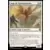 Les Hors-La-Loi de Croisetonnerre - Commander Decks - Ange de l\'indemnisation