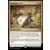 Les Hors-La-Loi de Croisetonnerre - Commander Decks - Assurance-vie