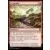 Les Hors-La-Loi de Croisetonnerre - Commander Decks - Le pactole