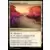 Les Hors-La-Loi de Croisetonnerre - Commander Decks - Promontoires peints