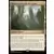Les Hors-La-Loi de Croisetonnerre - Commander Decks - Réserve naturelle de cactus