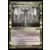 Ravnica Remastered - Dette envers les Impérissables