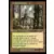 Ravnica Remastered - Jardin du temple